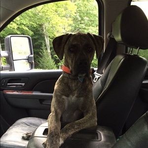 Meet your Posher, Tyler